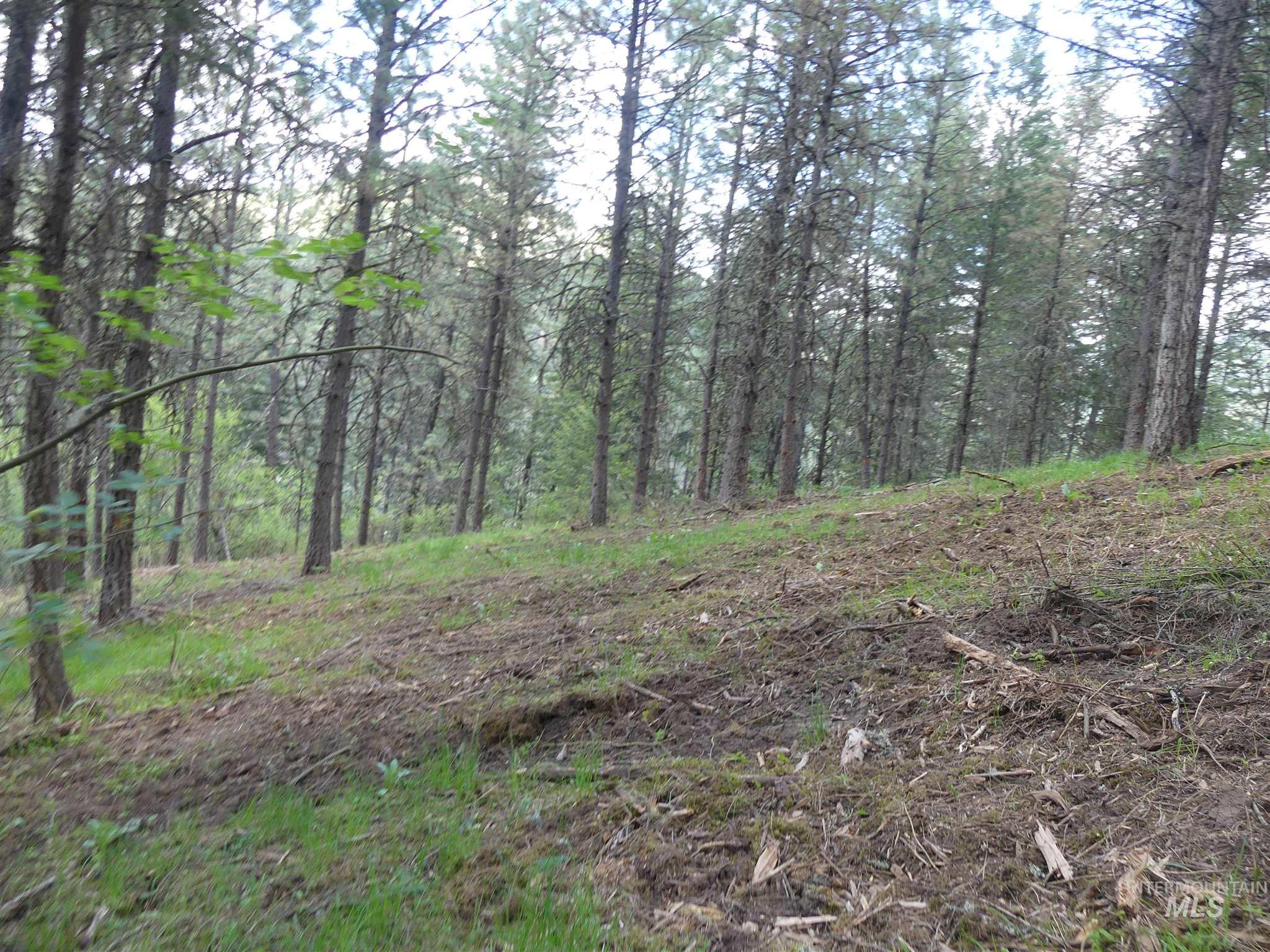 22743 Old Melrose Grade Road Peck, ID 83545 - Photo 15 of 45