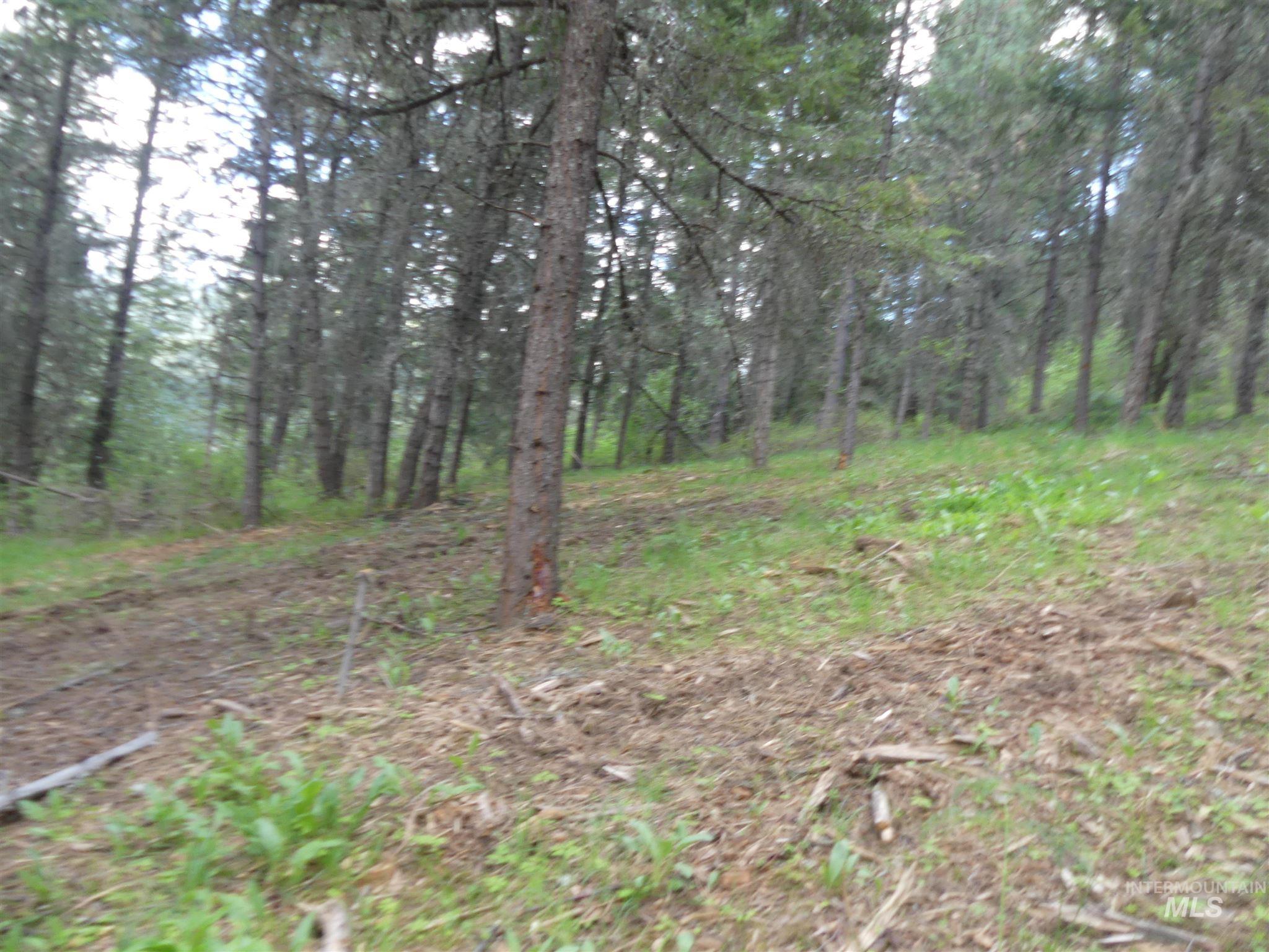 22743 Old Melrose Grade Road Peck, ID 83545 - Photo 17 of 45