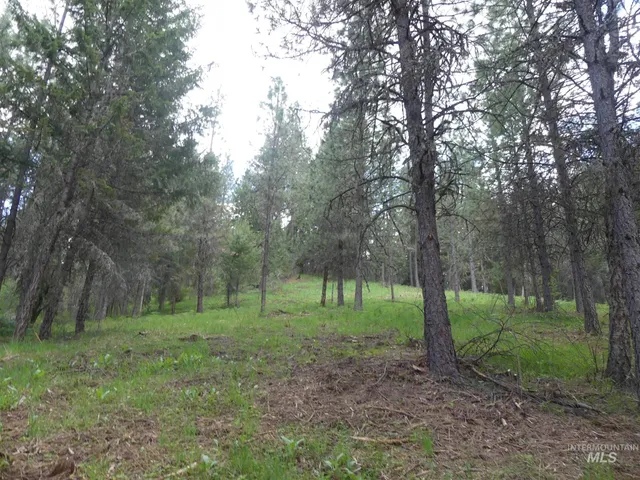 $250,000 | 22743 Old Melrose Grade Road, Peck, ID 83545