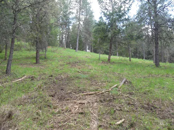 $250,000 | 22743 Old Melrose Grade Road, Peck, ID 83545