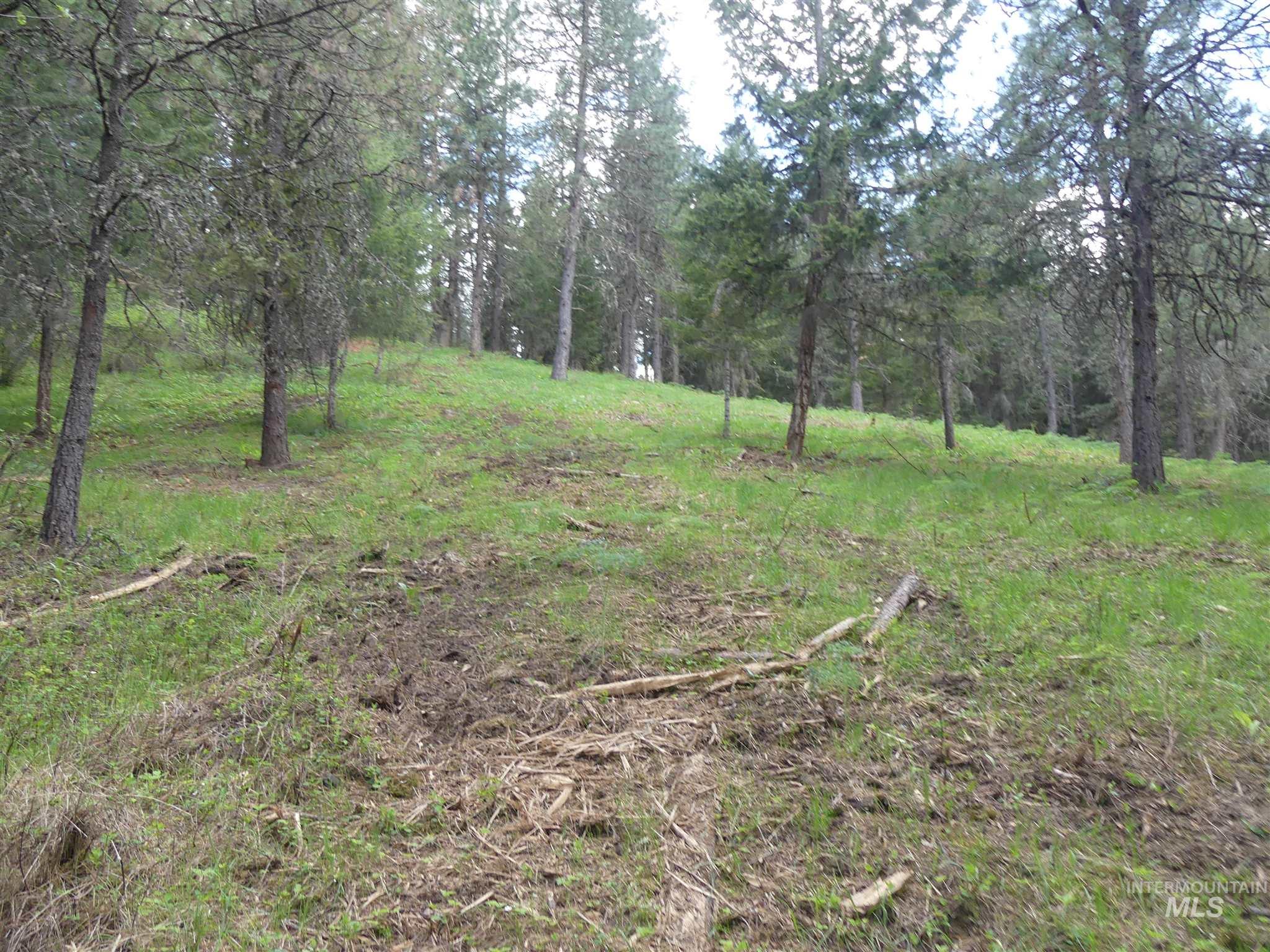 22743 Old Melrose Grade Road Peck, ID 83545 - Photo 22 of 45