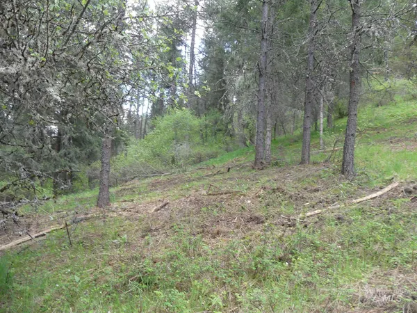 $250,000 | 22743 Old Melrose Grade Road, Peck, ID 83545