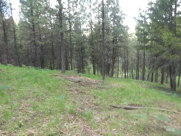 $250,000 | 22743 Old Melrose Grade Road, Peck, ID 83545