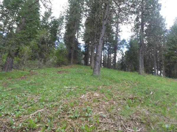 $250,000 | 22743 Old Melrose Grade Road, Peck, ID 83545