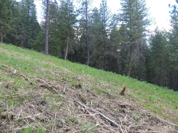 $250,000 | 22743 Old Melrose Grade Road, Peck, ID 83545