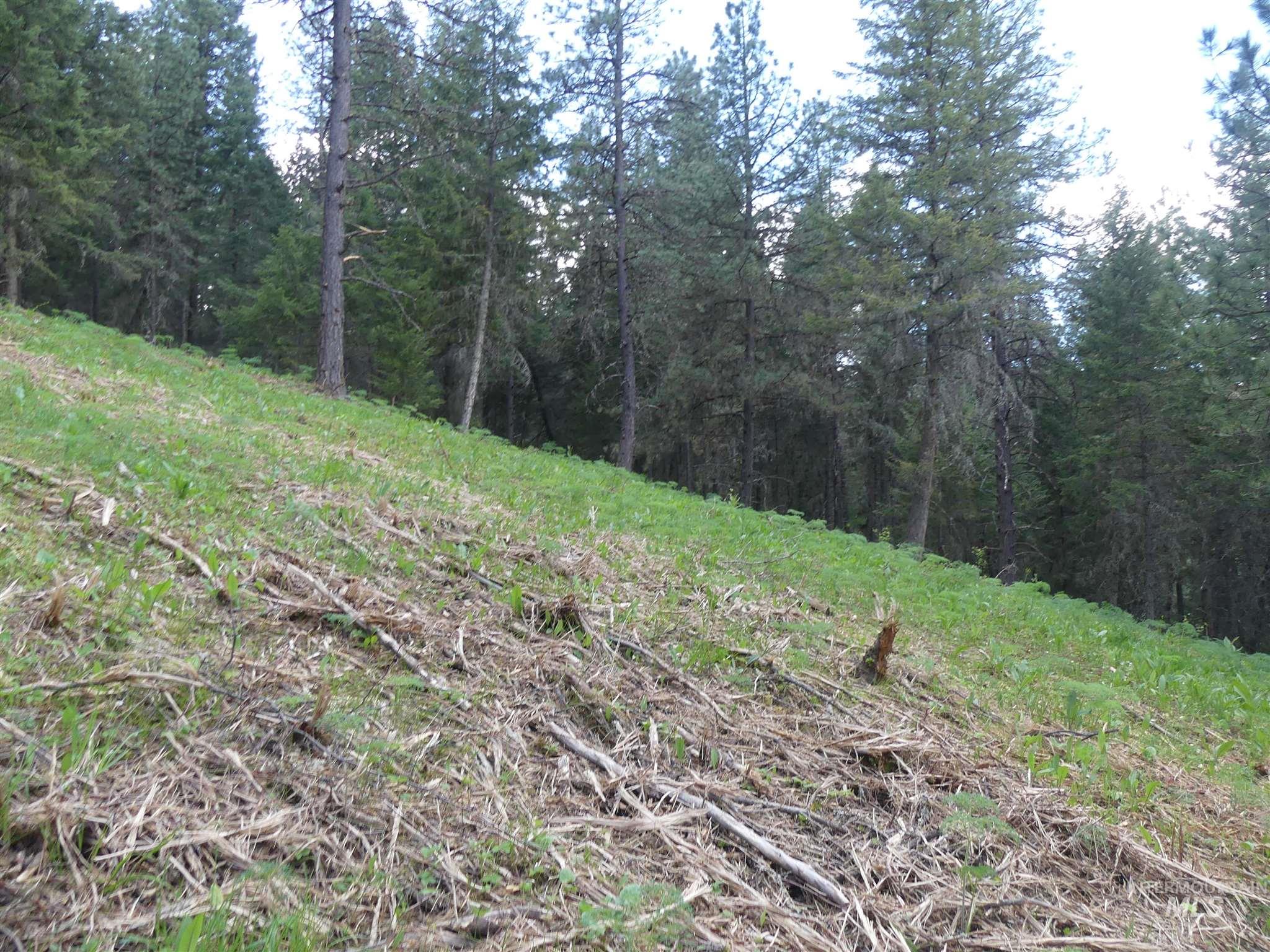 22743 Old Melrose Grade Road Peck, ID 83545 - Photo 26 of 45