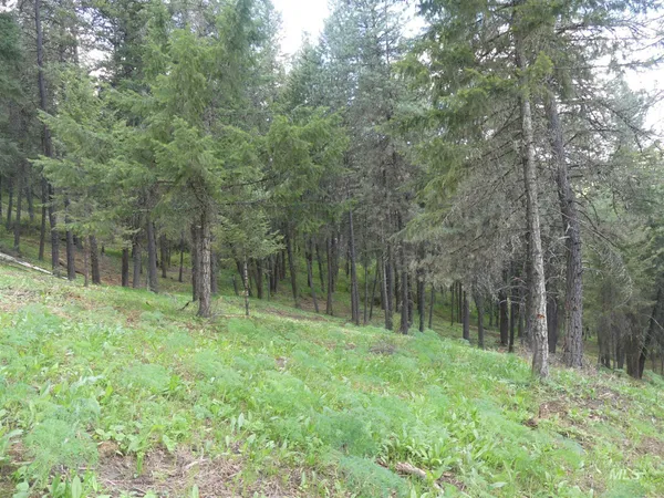 $250,000 | 22743 Old Melrose Grade Road, Peck, ID 83545