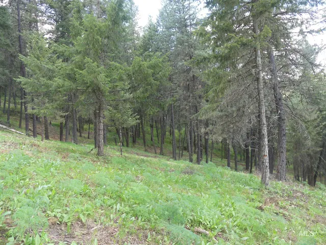 $250,000 | 22743 Old Melrose Grade Road, Peck, ID 83545