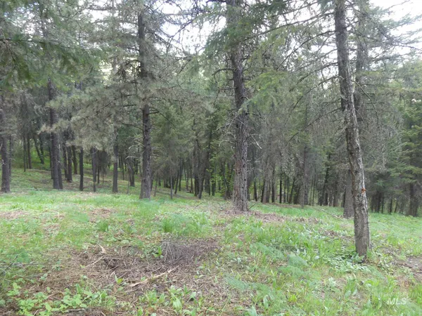 $250,000 | 22743 Old Melrose Grade Road, Peck, ID 83545