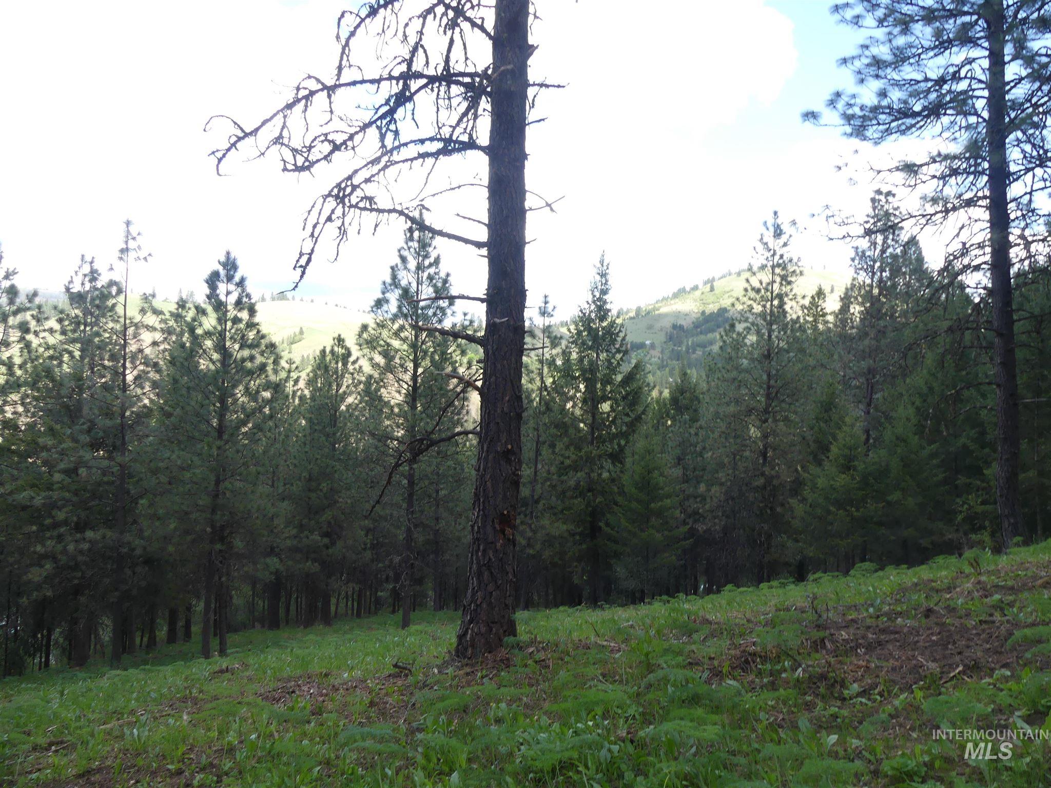 22743 Old Melrose Grade Road Peck, ID 83545 - Photo 33 of 45