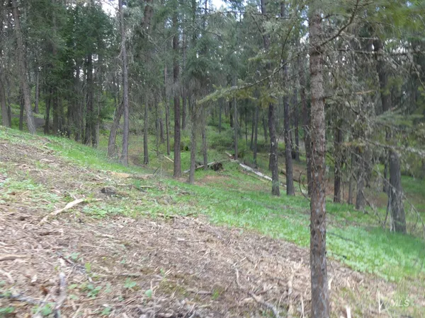 $250,000 | 22743 Old Melrose Grade Road, Peck, ID 83545