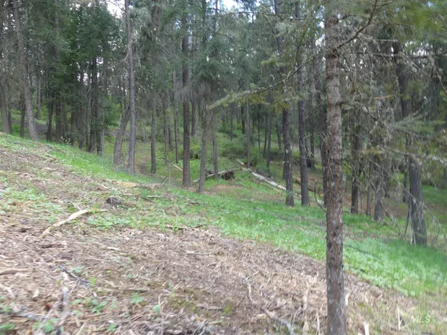 $250,000 | 22743 Old Melrose Grade Road, Peck, ID 83545