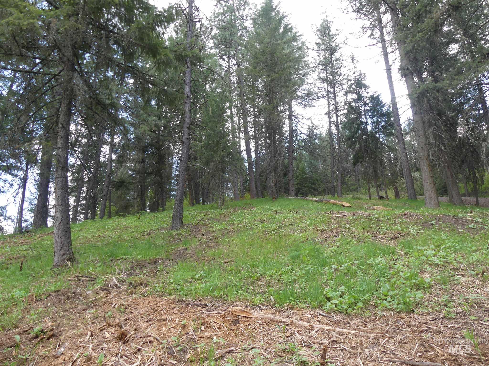 22743 Old Melrose Grade Road Peck, ID 83545 - Photo 35 of 45