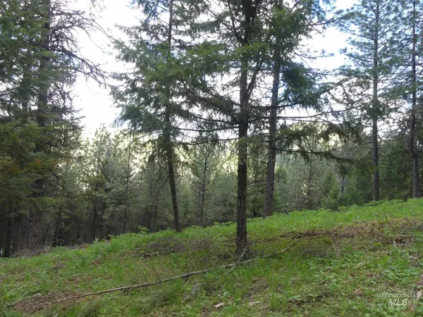 $250,000 | 22743 Old Melrose Grade Road, Peck, ID 83545