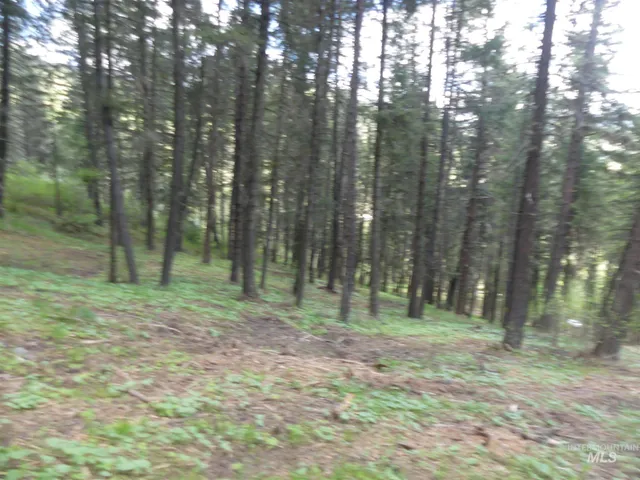 $250,000 | 22743 Old Melrose Grade Road, Peck, ID 83545