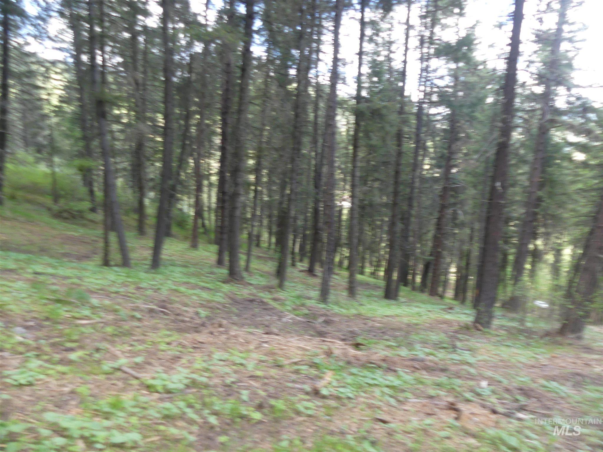 22743 Old Melrose Grade Road Peck, ID 83545 - Photo 39 of 45