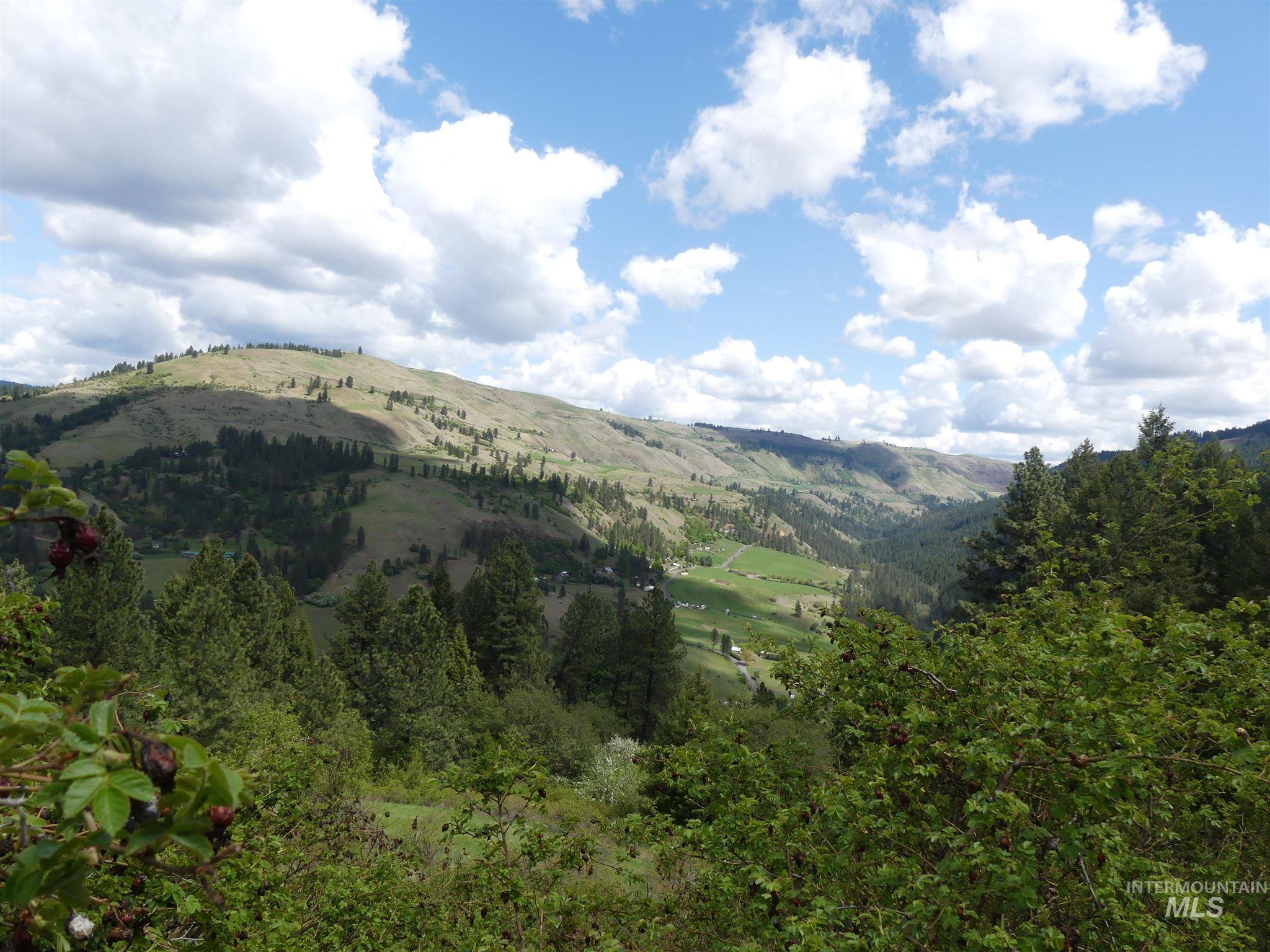 22743 Old Melrose Grade Road Peck, ID 83545 - Photo 4 of 45