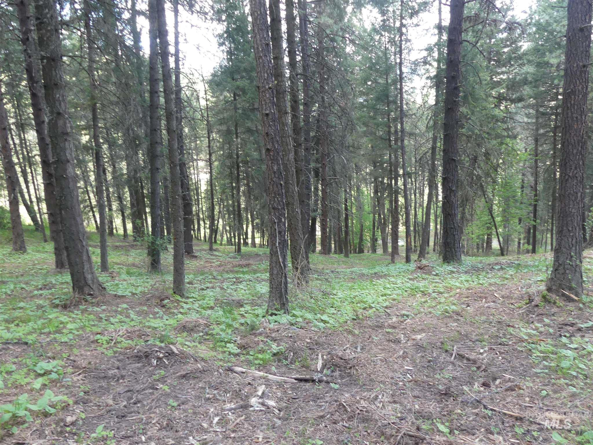 22743 Old Melrose Grade Road Peck, ID 83545 - Photo 41 of 45