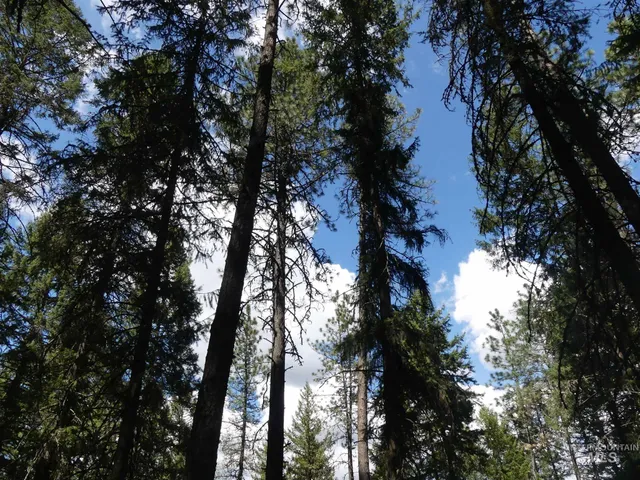 $250,000 | 22743 Old Melrose Grade Road, Peck, ID 83545