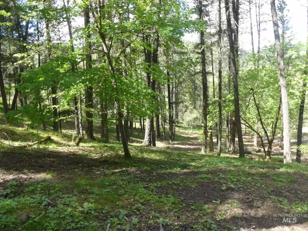 $250,000 | 22743 Old Melrose Grade Road, Peck, ID 83545