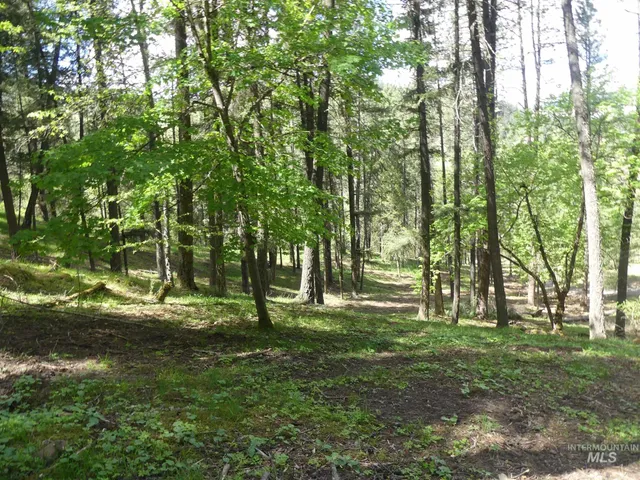 $250,000 | 22743 Old Melrose Grade Road, Peck, ID 83545