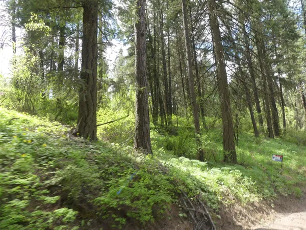 $250,000 | 22743 Old Melrose Grade Road, Peck, ID 83545