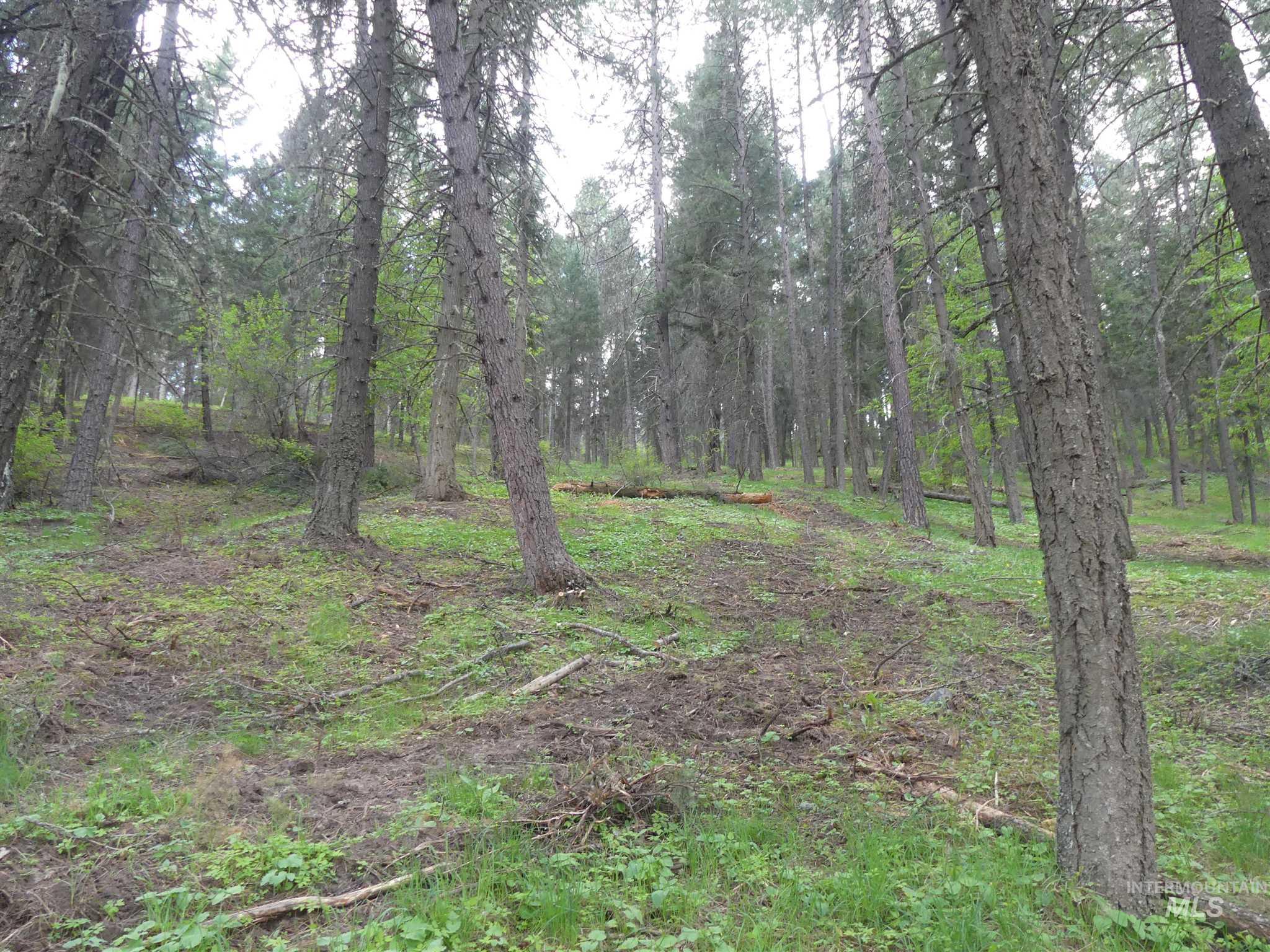 22743 Old Melrose Grade Road Peck, ID 83545 - Photo 9 of 45