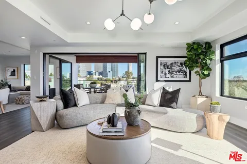 a living room with furniture potted plant and a large window