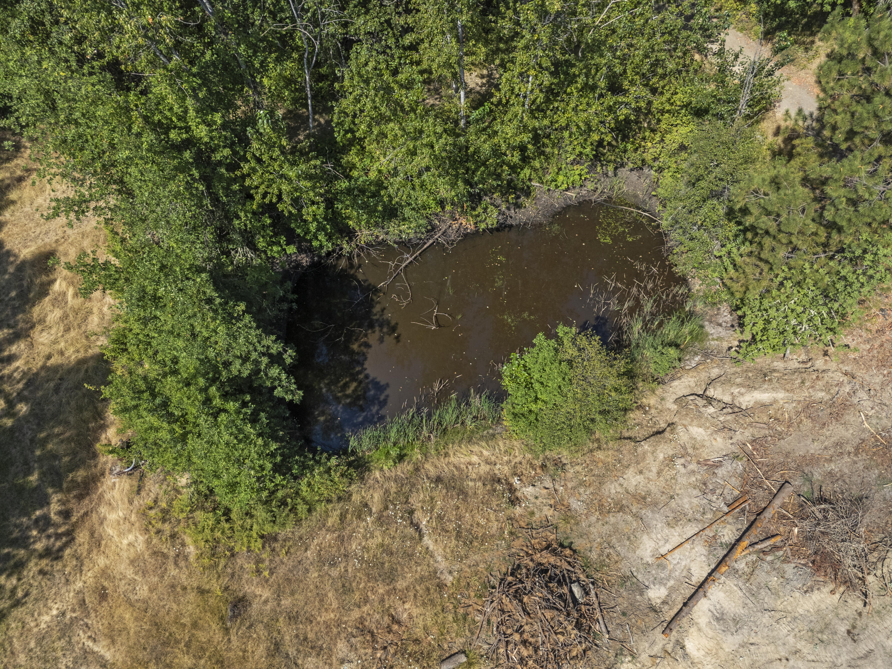 2681 Russell Road Grants Pass, OR 97526 - Photo 34 of 46 Aerial Pond