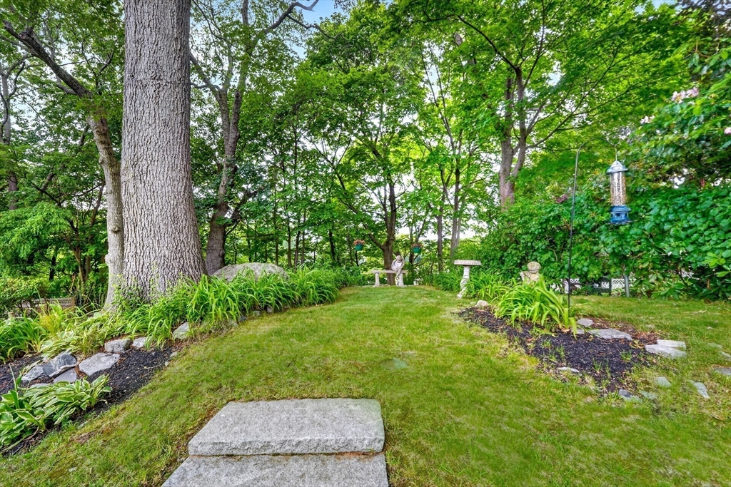 56 Nowell Road Melrose, MA 02176 - Photo 25 of 32 Gallery Image 25