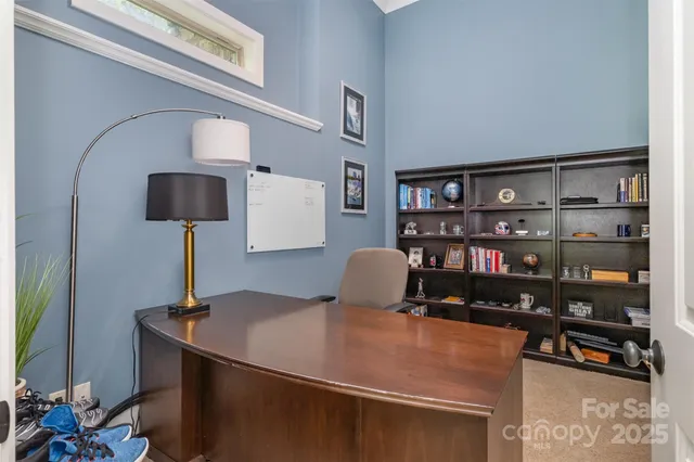 a room with furniture and a book shelf
