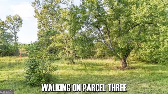 $65,000 | 2340 Joyner-Oglesby Road, Sardis, GA 30456