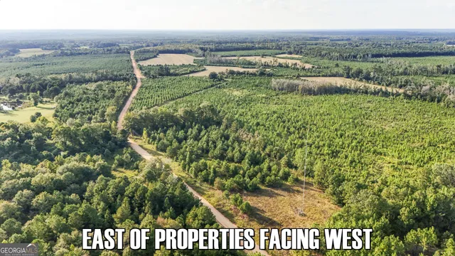 $65,000 | 2340 Joyner-Oglesby Road, Sardis, GA 30456