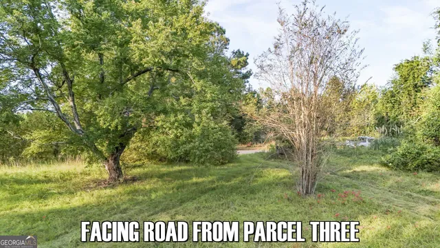 $65,000 | 2340 Joyner-Oglesby Road, Sardis, GA 30456