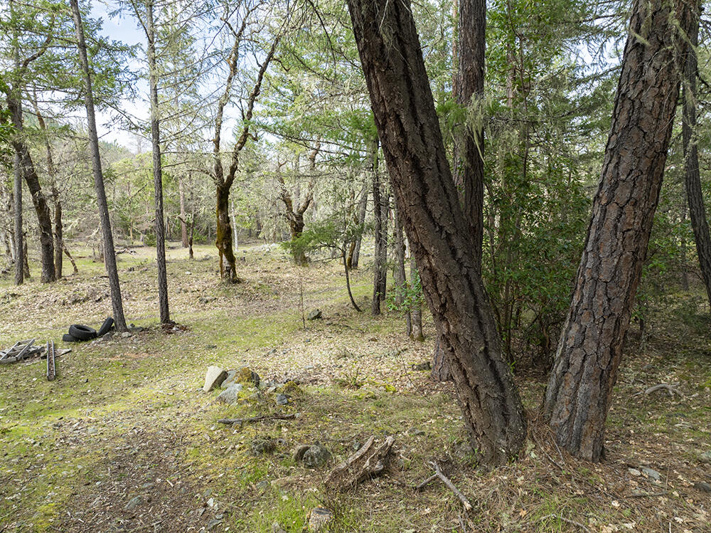 15150 Water Gap Road Williams, OR 97544 - Photo 32 of 53 38