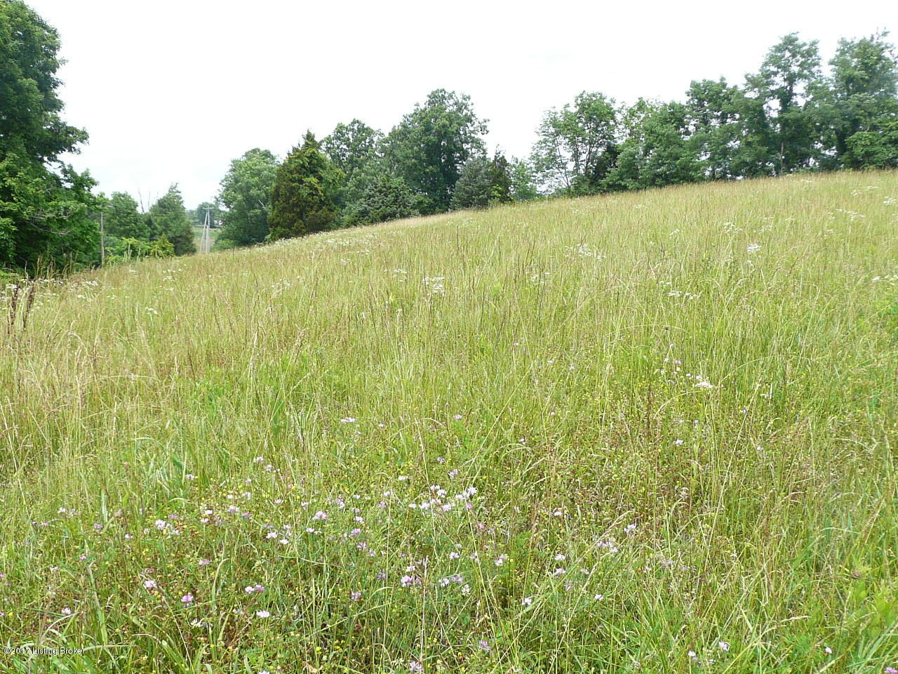 999 Briar Ridge Road Mount Eden, KY 40046 - Photo 4 of 4 Make this your home