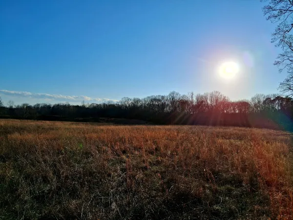 a view of lake and mountain
