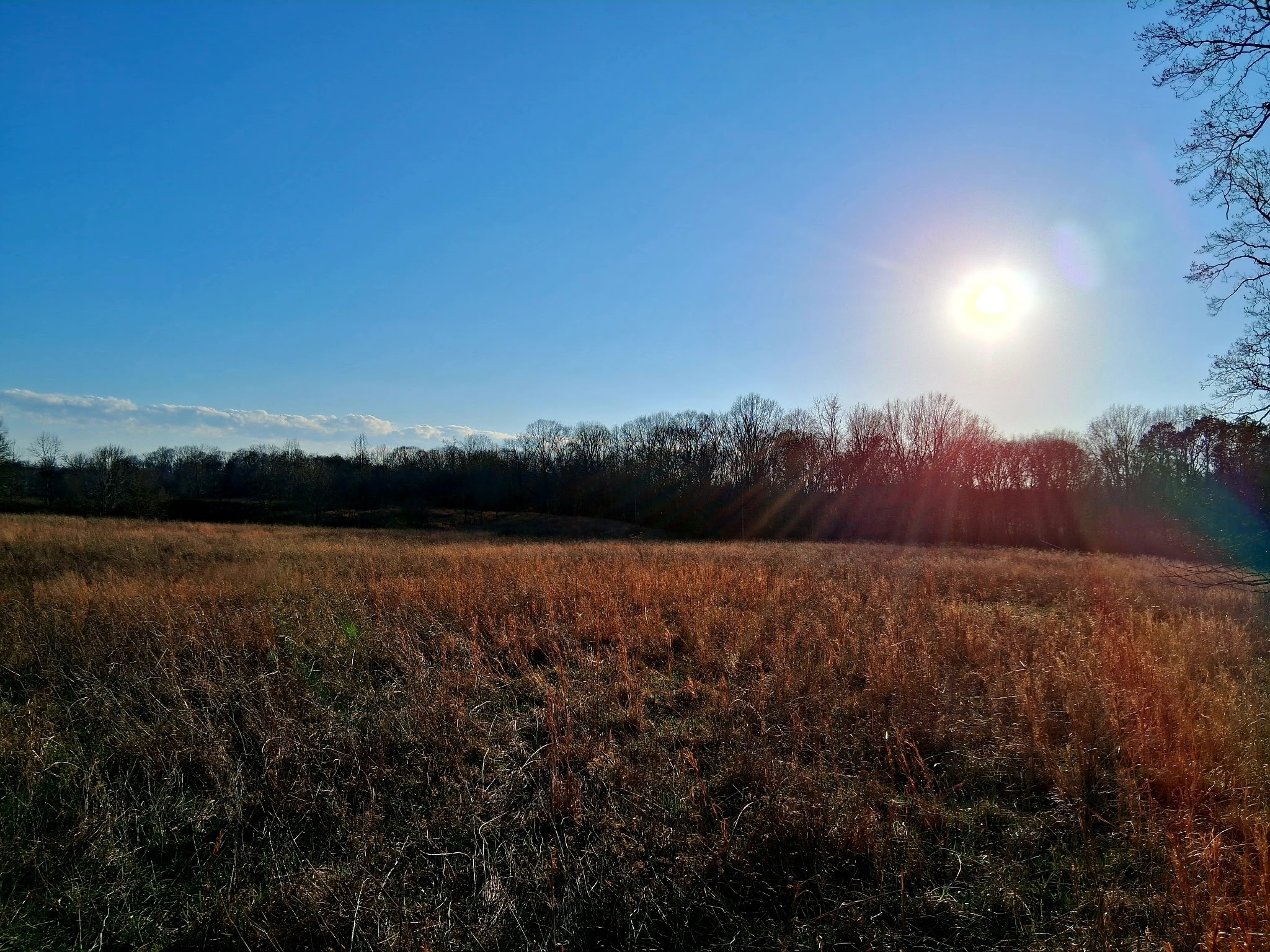 a view of lake and mountain