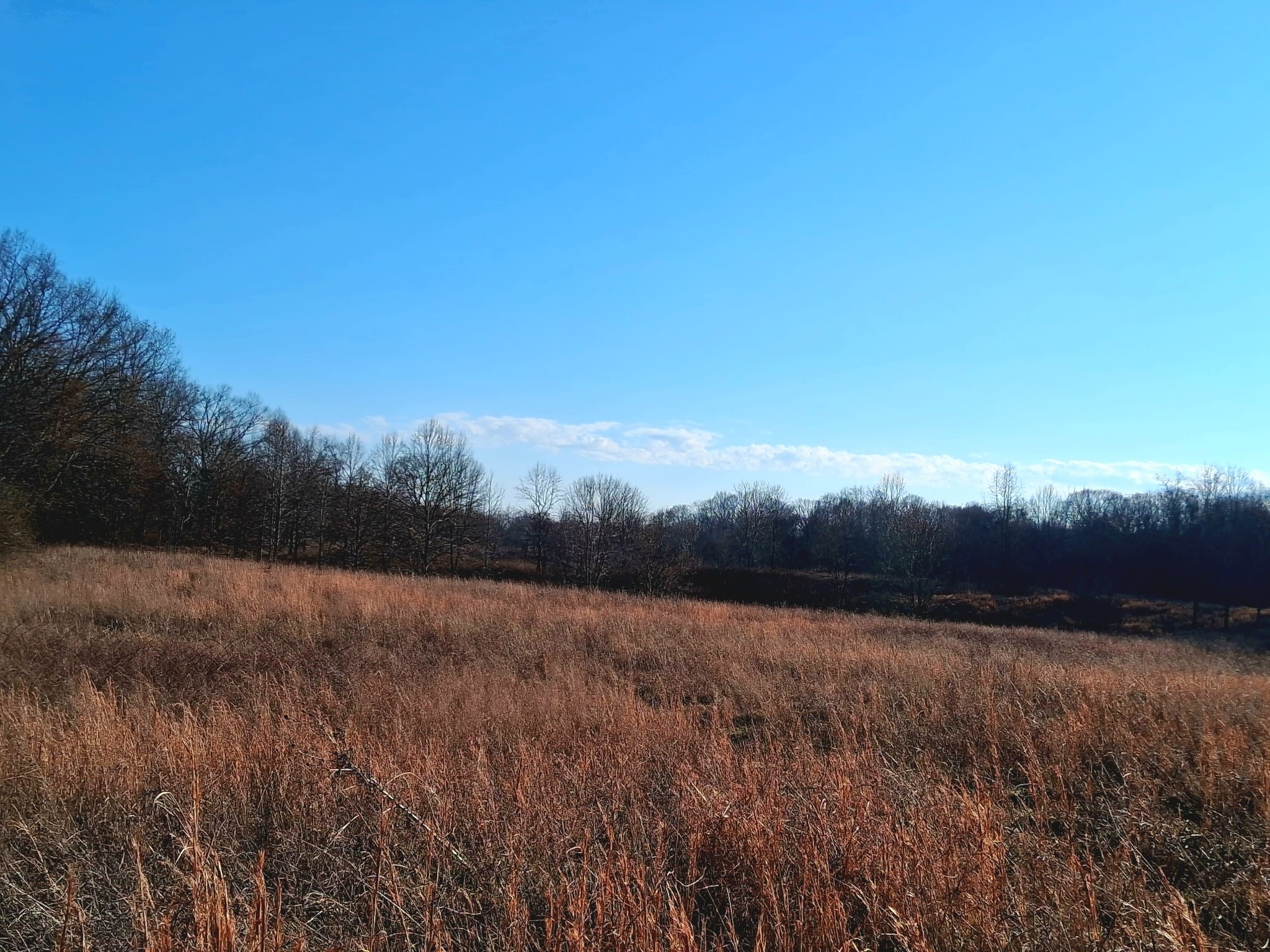 0 Burr Road Springfield, TN 37172 - Photo 3 of 5 a view of mountain and lake view