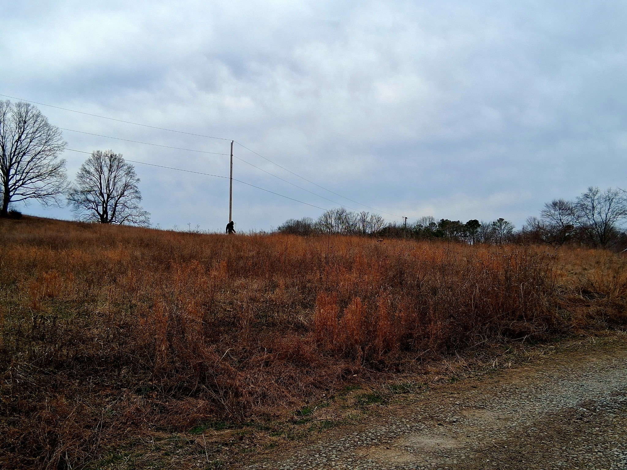 0 Burr Road Springfield, TN 37172 - Photo 4 of 5 a view of a lake