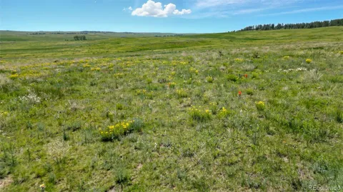 a view of an ocean from a yard