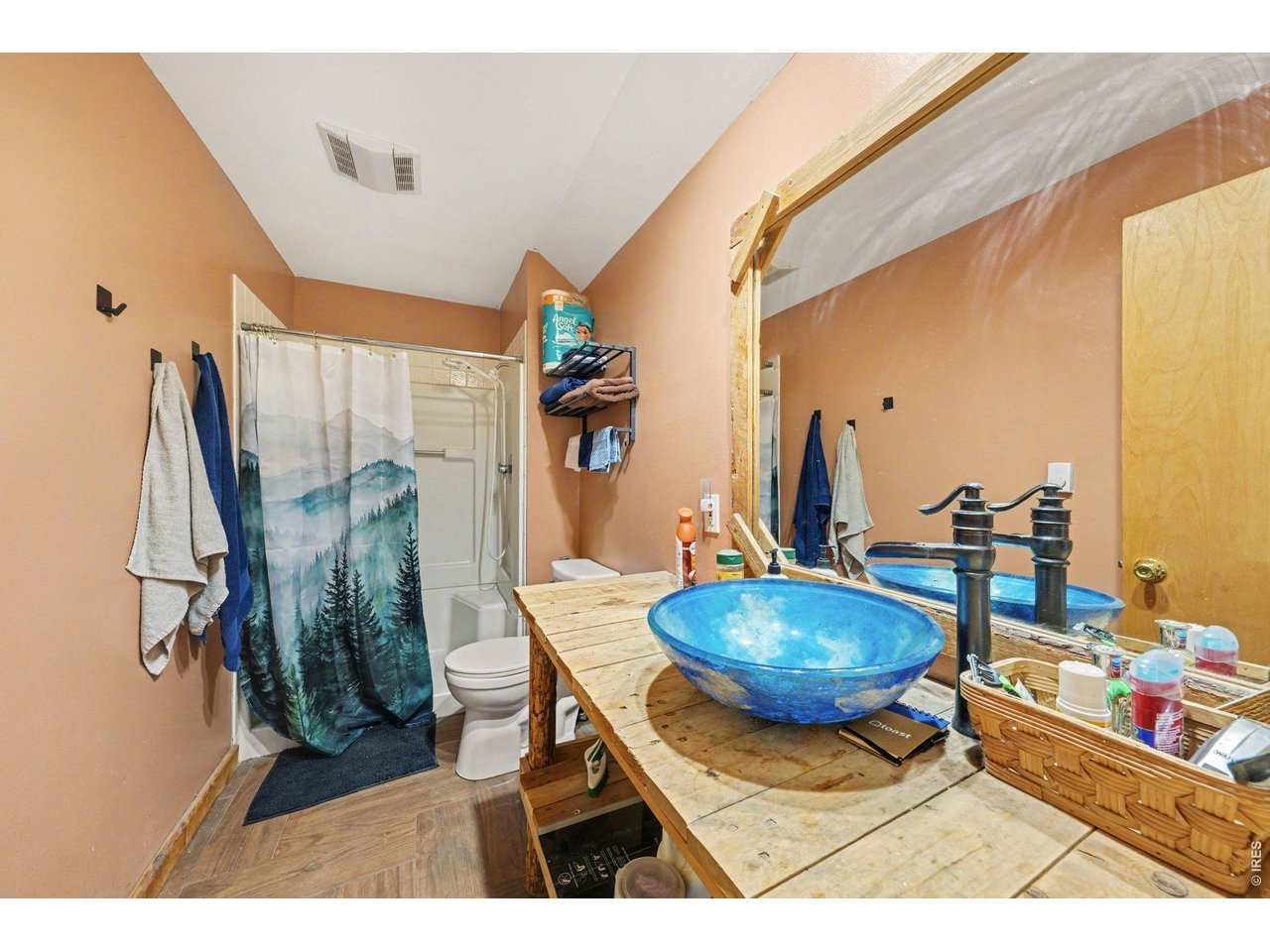 319 Springmeadow Way Red Feather Lakes, CO 80545 - Photo 19 of 30 Lower bathroom
