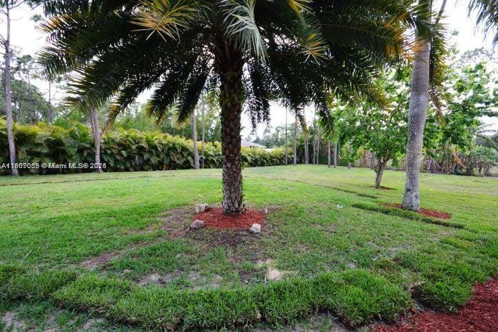 17569 North 89th Place North Loxahatchee, FL 33470 - Photo 24 of 24 a view of a tree in a park