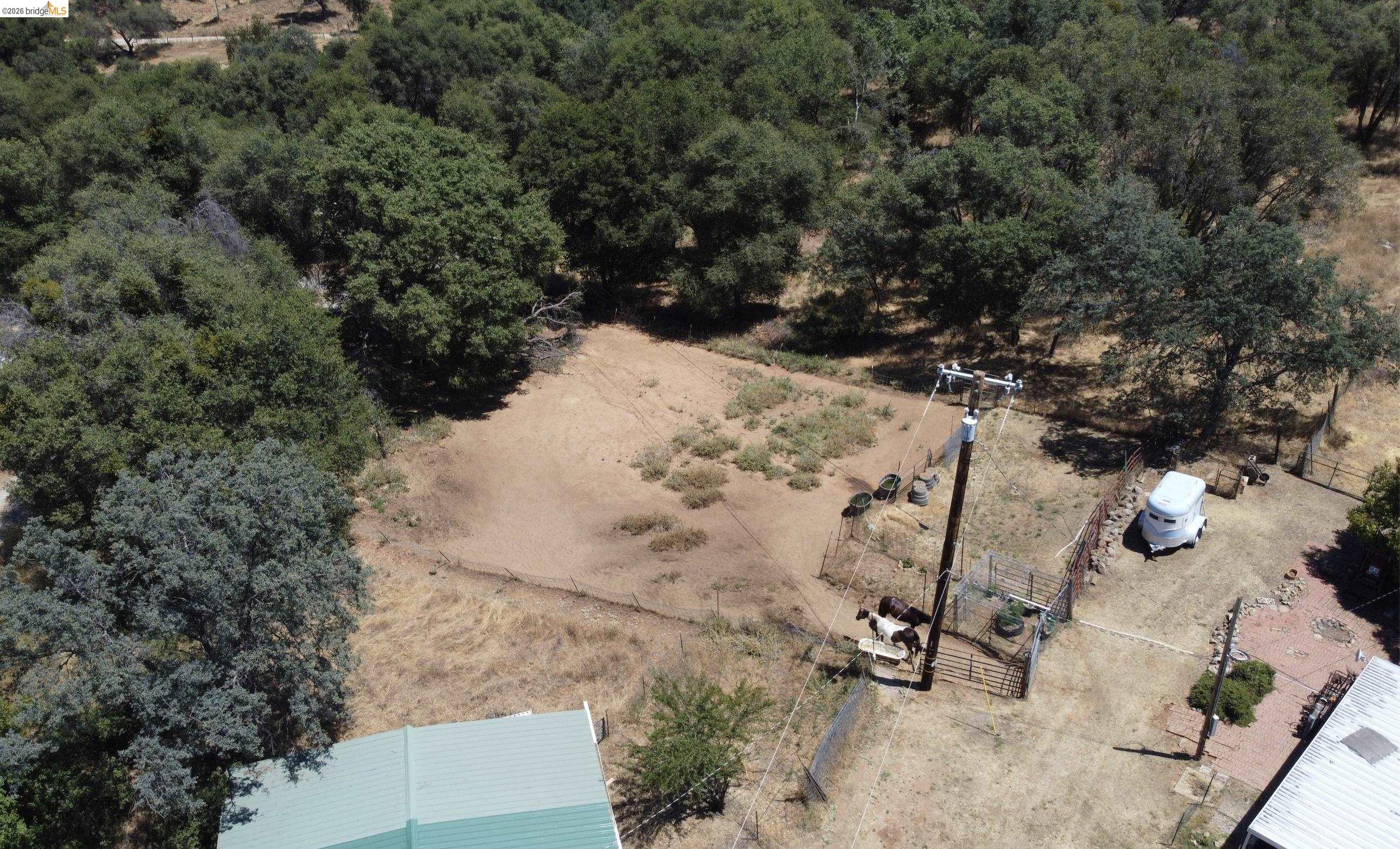 18195 Wards Ferry Road Sonora, CA 95370 - Photo 61 of 67 Expansive fenced acreage featuring a cleared pasture, multiple mature trees, and a utility pole
