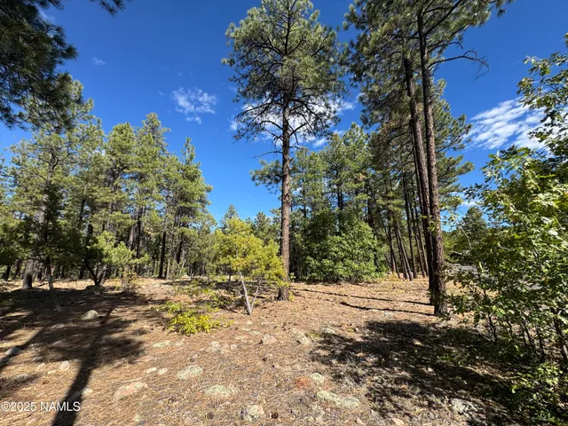 $210,000 | 28 Escalante, Williams, AZ 86046