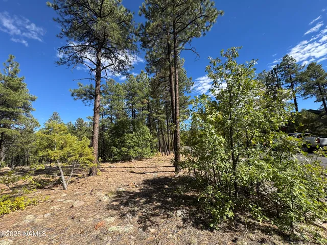 $210,000 | 28 Escalante, Williams, AZ 86046