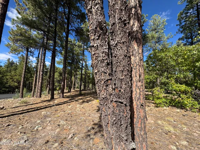 $210,000 | 28 Escalante, Williams, AZ 86046