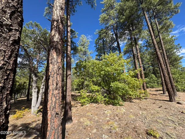 $210,000 | 28 Escalante, Williams, AZ 86046