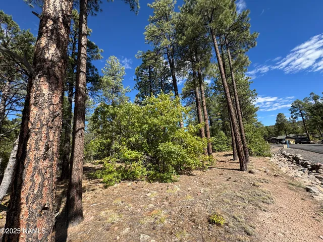 $210,000 | 28 Escalante, Williams, AZ 86046