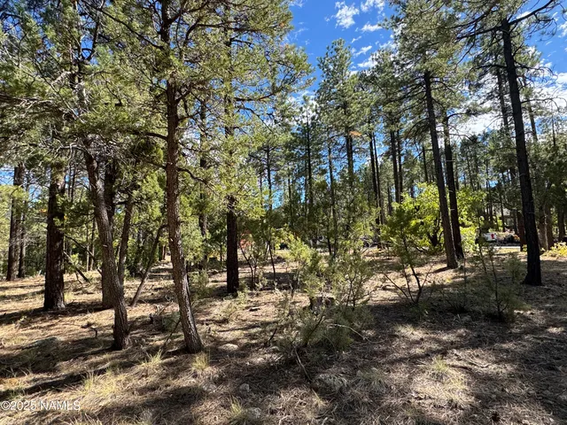$210,000 | 28 Escalante, Williams, AZ 86046